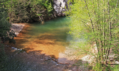 Lliurona (Albanyà)